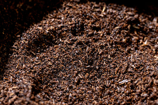 L’Alchimie de la Vanille – Les secrets moléculaires de l’arôme de Madagascar