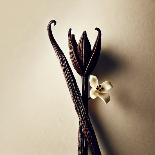 Pourquoi la vanille de Madagascar est-elle si précieuse ? L’histoire d’une épice rare, façonnée par la main et le temps