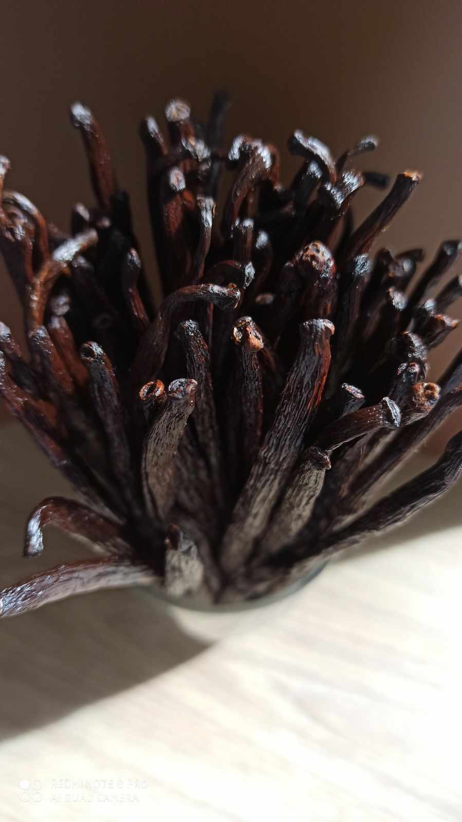 Vanille Bourbon de Madagascar