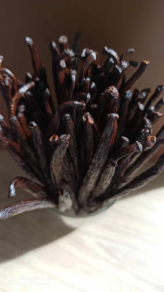 Vanille Bourbon de Madagascar