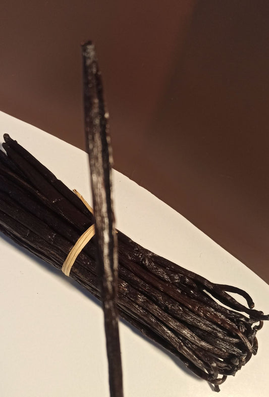 Comment conserver la vanille Bourbon : la solution exclusive Faly Vanille