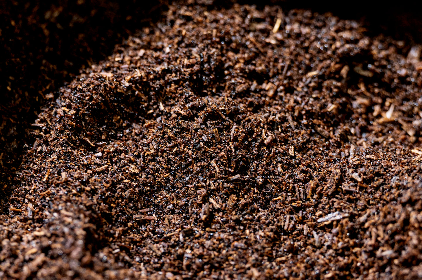 Poudre de Vanille Bourbon de Madagascar – 100% Naturelle – 50g | Faly Vanille